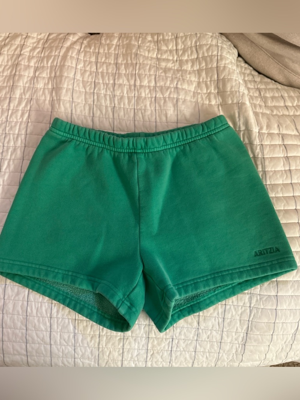Aritzia Emerald Green Women's Fleece Athletic Shorts
Never worn